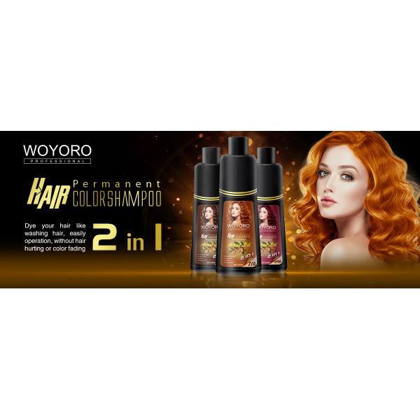2 In 1 A Wash Ammonia Free Color Shampoo With Organ Oil 5 Min Dye Hair
