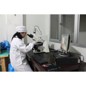 Wastone Technology Co.,Ltd.