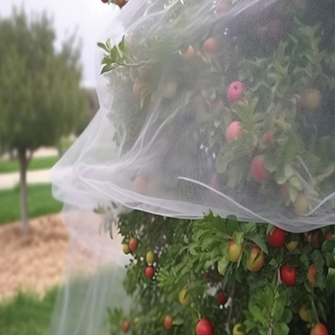Breathable Mesh Insect Net Different Width Length Mesh Number for Vegetable Crop Shield