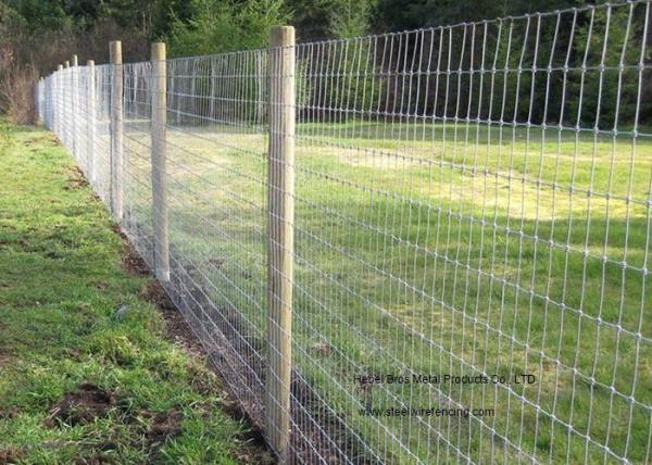 Hinge Joint Knot Galvanized Cattle Fence 0.8m - 2m Height For Woven Grassland