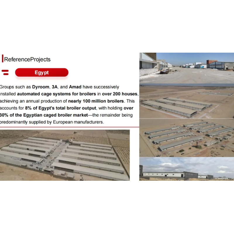 Commercial Poultry Cage System Featuring Durable Plastic Feed Pan