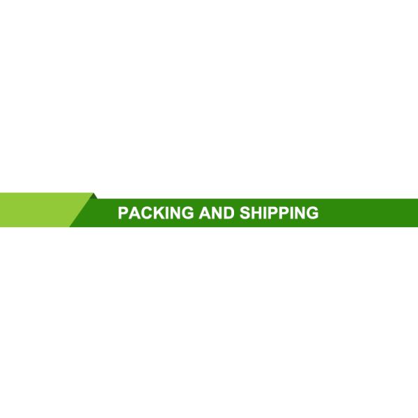 China Factory Commercial Electric Water Heaters 100L to 2000L Tank Storage Water Heater Stainless Steel Housing for Hotels