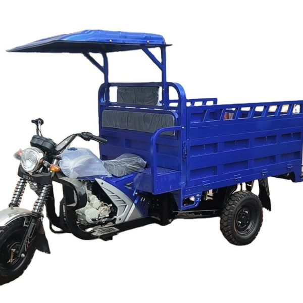 Hot Selling Adult Cargo Tricycle 200cc Petrol Tipper Motorized with Open Cabin