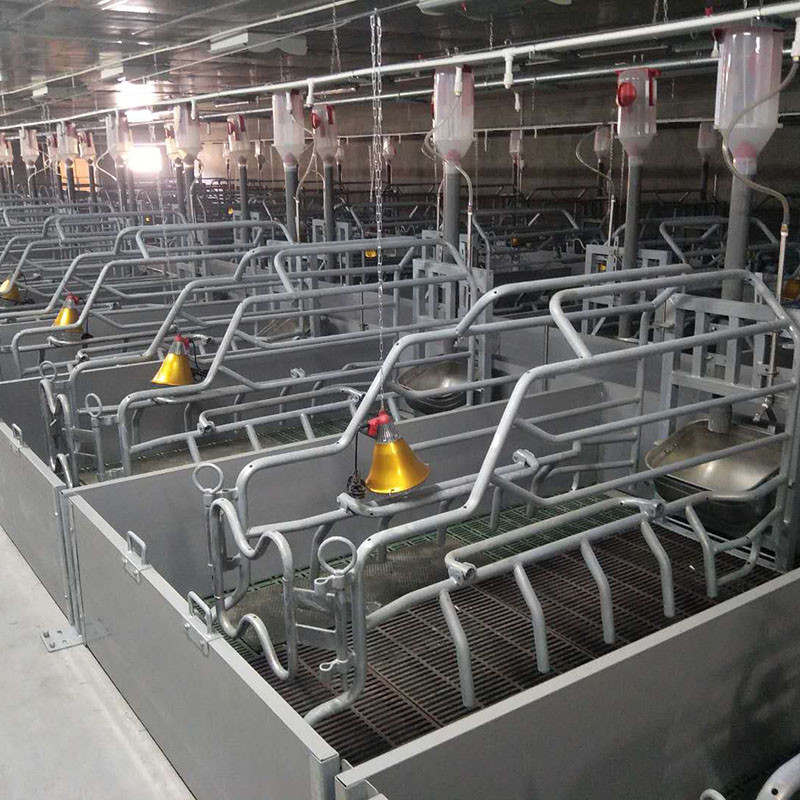 100 сельскохозяйственное оборудование Piggery ручки свини 2.4*0.6m