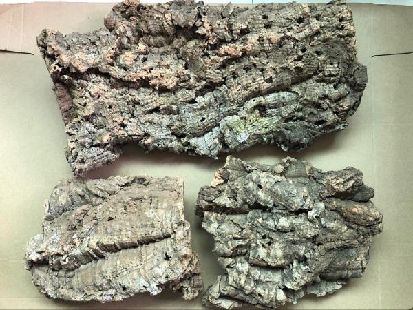 Factory Wholesale 3~4cm thickness Virgin Cork Bark Perfect for Dispalying Air Plants, Bromeliads & Orchids