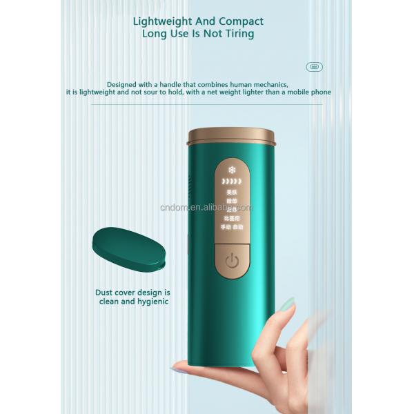 AC100-240V Input Voltage Home Ipl Hair Removal Technology Oem Logo Handheld Device