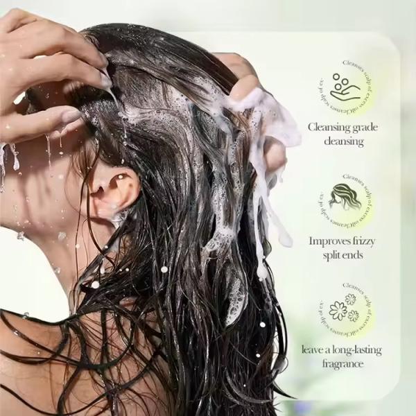 Controlo de óleo Shampoo anti caspa Anti-coceira Shampoo de limpeza profunda Shampoo capilar
