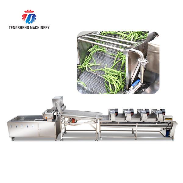 Fruit and vegetable washing and vibrating drying production line Fruit Vegetable FOOD processing production Machine Versatile and Durable Fruit Vegetable Processing Line for Your Business Processin