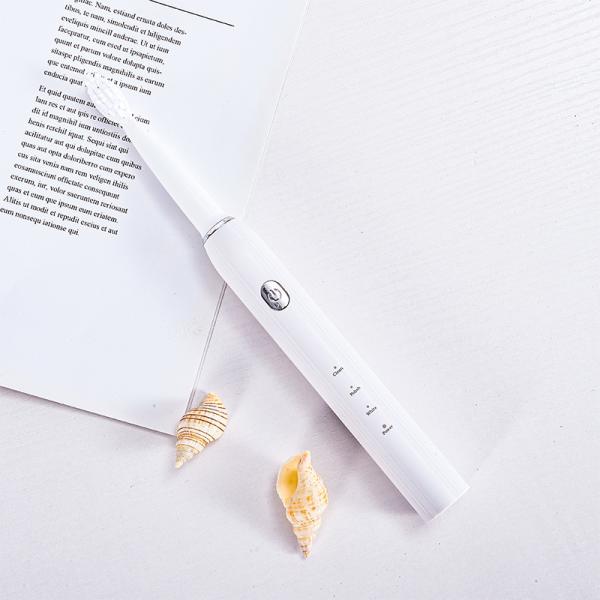 Electric Battery Powered Toothbrush With Timer 500mAh Multifunctional