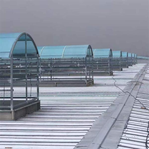 Resistencia a los impactos de la luz del día azulejos de FRP para el techo del invernadero del cobertizo