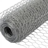TLSW a galvanisé le grillage hexagonal BWG22 de poulet de fabrication de fil