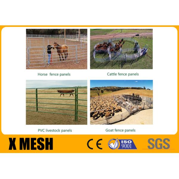 Панели загородки поголовья загородки ASTM фермы металла высоты 1.8m