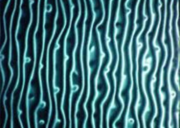 Solid Printed Toughened And Laminated Glass Tile