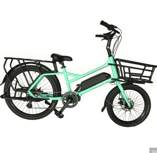 20 Magnesium Alloy Frame Ananda Bafang MID Drive Electric Bike for Family or Cargo Delivery