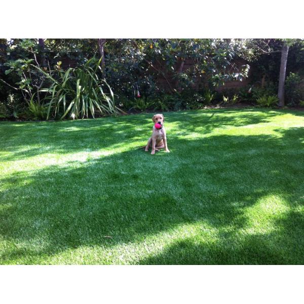 Eco Friendly Trugrass Pets Turf Animal Mat Safe For Dogs CE SGS Standard