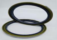 DC5Y 152.4*180*17/18.6 NBR FKM Oil Seal Kits For Excavator BW1748E DB2 140*170*22 BW2410G