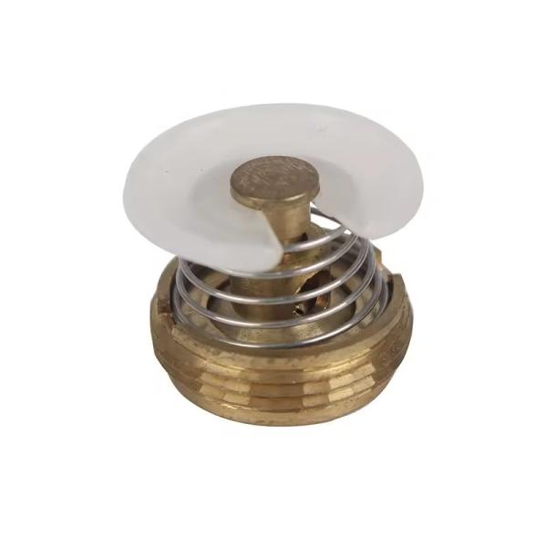 18mm Pressure Flow Stabilizer Valve for Gas Water Heaters with Pressure Regulation and Flow Stabilization