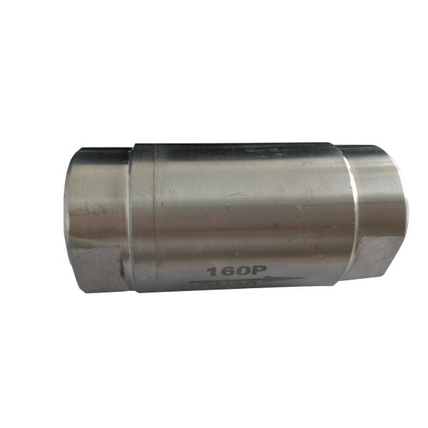 Порт задерживающего клапана нержавеющей стали ПК 3 уменьшенный низким давлением, скачет вертикальный задерживающий клапан