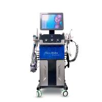 10 en 1 peau SPA24 facial de jet de la machine 110V de Microdermabrasion