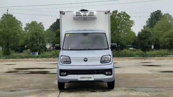 Small Freezer Refrigerated Truck With Cargo Box Equipped With Side Door and Refrigerator Truck Body Horsepower 150hp