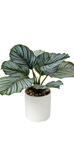 Artificial Bonsai Tree Juniper Faux Plants Indoor Fake Plants Decor with Ceramic Pots for Home Table Office Desk