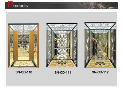 Decoração de aço inoxidável do painel da cabine do elevador para construções residenciais