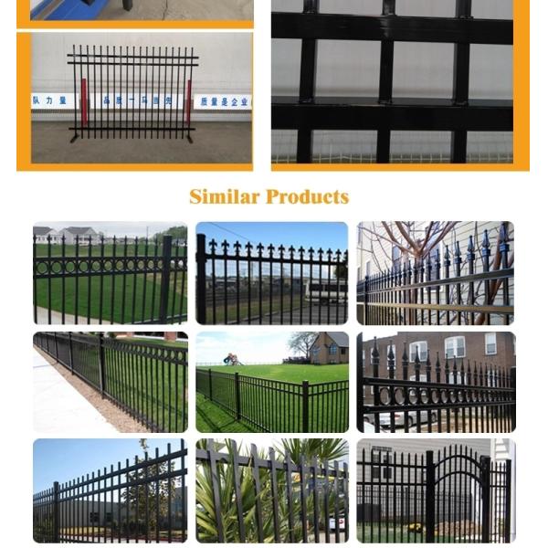 Powder Coated  Steel Trellis Fence , Garden Palisade Fencing For Decoration
