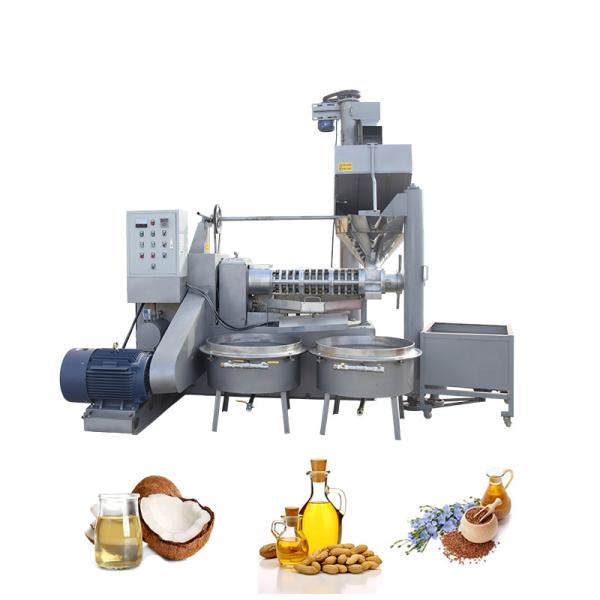 Выход нефти экстрактора прессы масла машины прессы масла винта арахиса/рапса высокий
