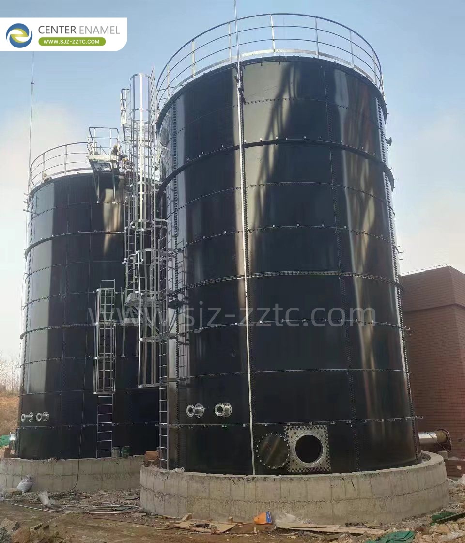 Leading Biogas Solutions and GFS Tanks for Malaysia Chicken Manure Biogas Project