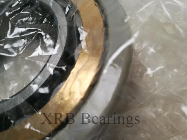 FAG Current-Insulated Bearings NJ219-E-TVP2-J20AA Prevent Damage Caused by Electrical Current