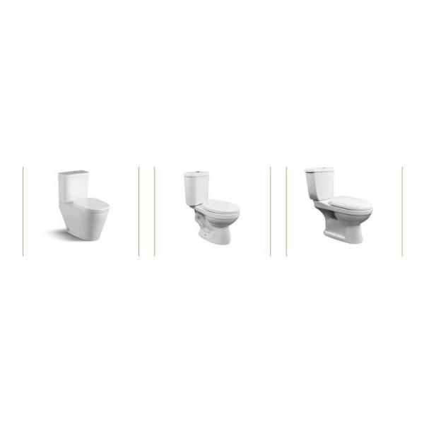 Floor Mounted Bathroom Sanitary Ware White 2 Piece Toilets Bowl