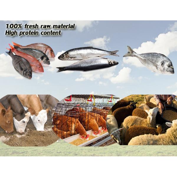 Natural Fish Meal Fertiliser Improve Animal Disease Resistance Ability