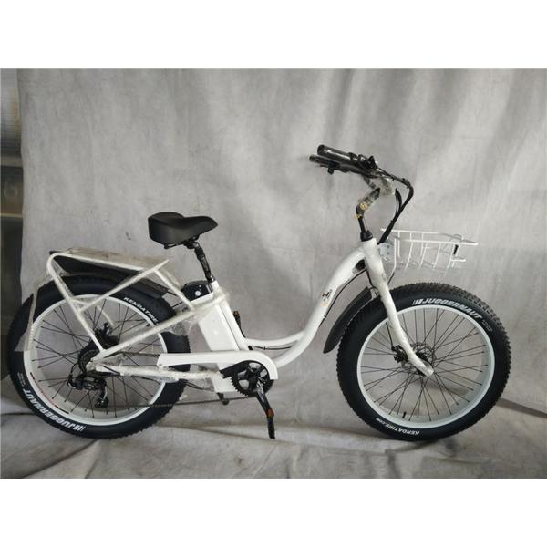 Adult Fat Tyre Cycle E Ebike Electric Bike 48V 1000W 21A Central Mid Drive Motor 26 Inch