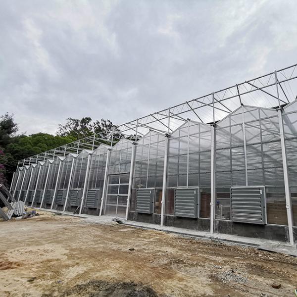 Good Thermal Insulation Venlo Polycarbonate Sheet PC Panel Greenhouse