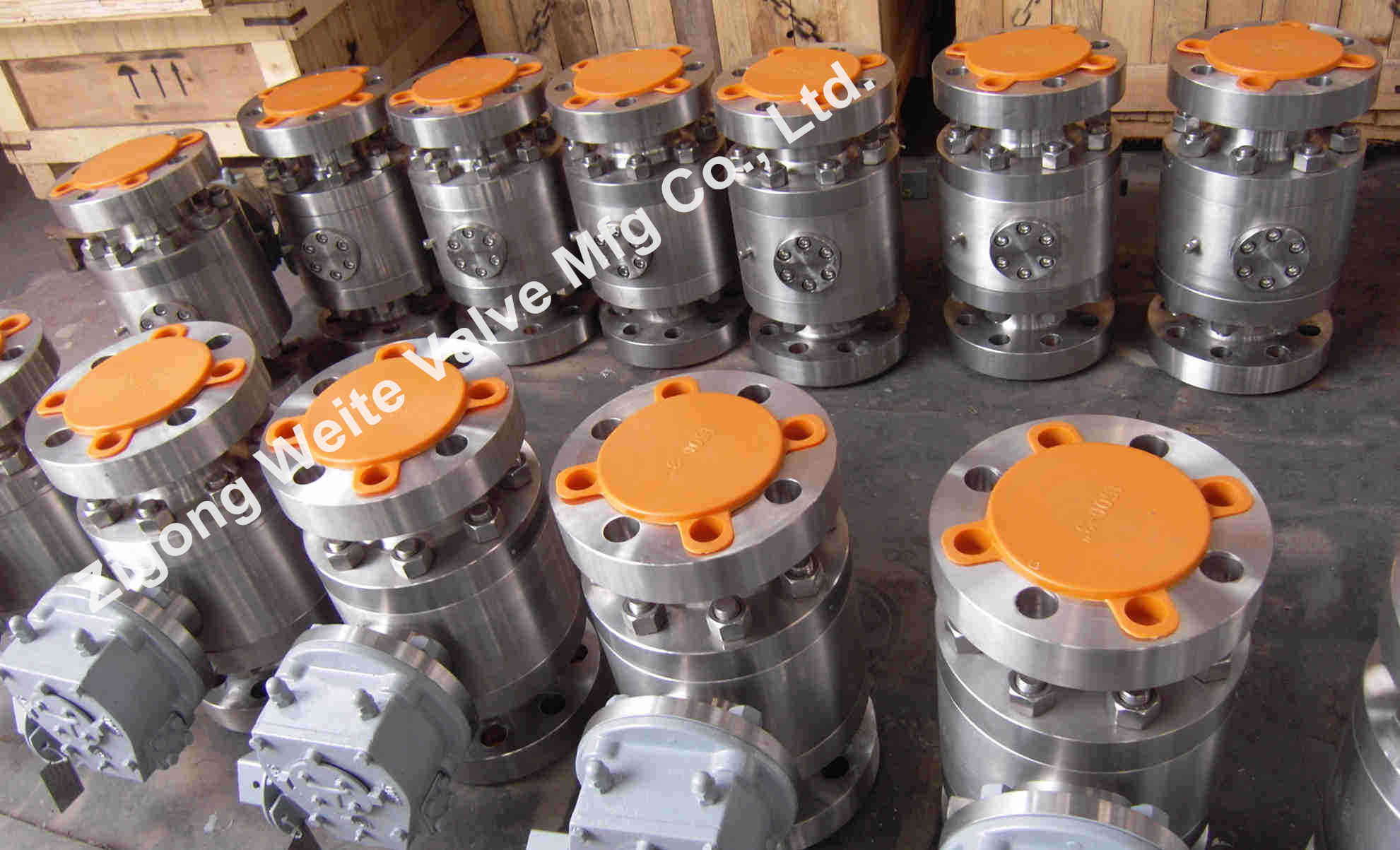 PTFE усадило нержавеющую сталь служило фланцем статическое API 607 шарикового клапана анти-