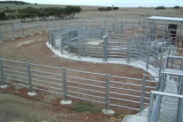 Cerca galvanizada 1.7m maioria Panels dos rebanhos animais do aço carbono, painéis portáteis da cabra