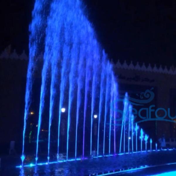 Mariez la fontaine d'eau accessoire changée