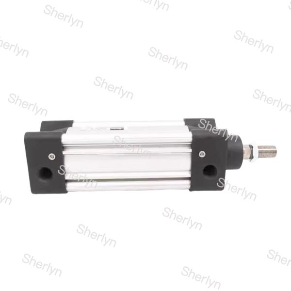 ISO 15552 P1F-S032MC-0125-0000 Serie de cilindros estándar Parker P1F