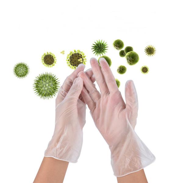 PVC Plastic Disposable Safety Gloves Transparent Food Grade FDA / CE Certificate