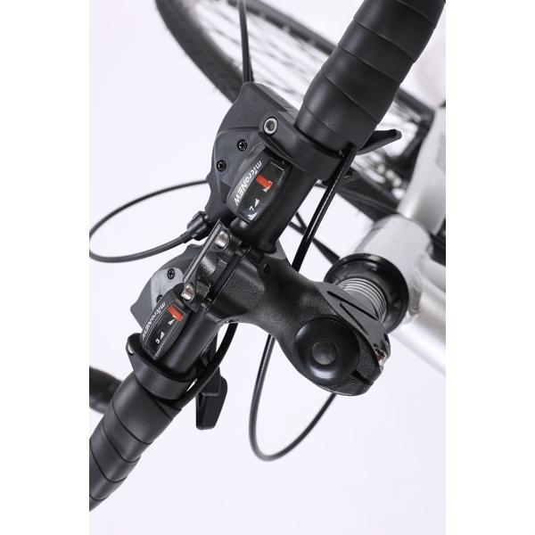 Customization Road Bike with Aluminum Alloy Frame and Disc Brake System 700C Mountainbike