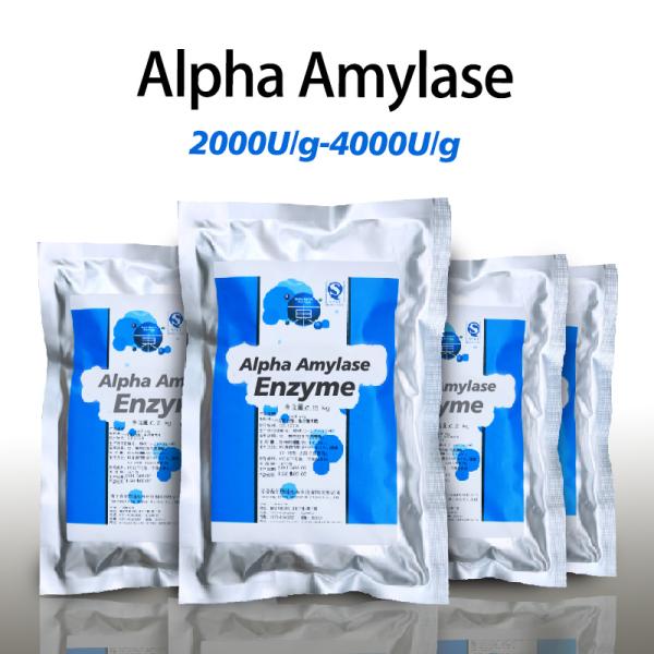 4000 u/g poudre d'alpha amylase soluble dans l'eau Activité enzymatique personnalisée