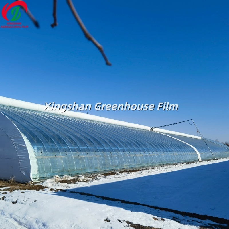 Agricultural Polyolefin Greenhouse Film 0.06mm - 0.18mm Thickness