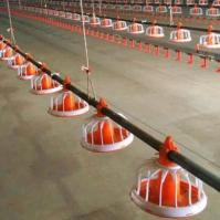 Système de bac d'alimentation automatique Mangeoires pour animaux Black Soldier Fly Farm Equipment