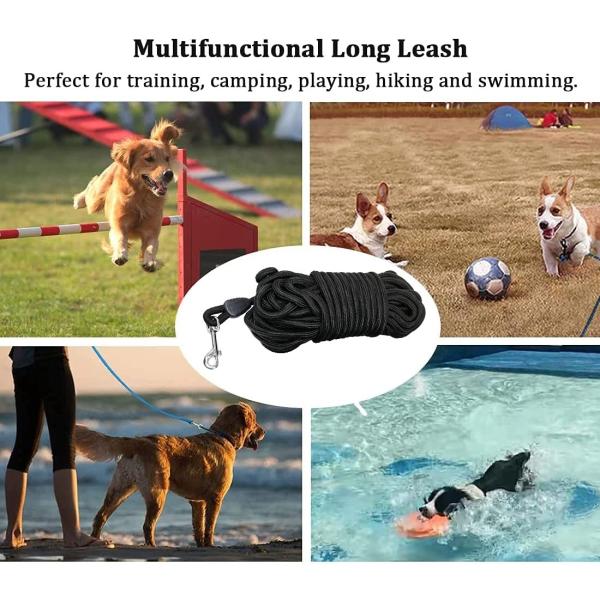 Customized Color Dog Training Rope 5m 10m 15m 30m