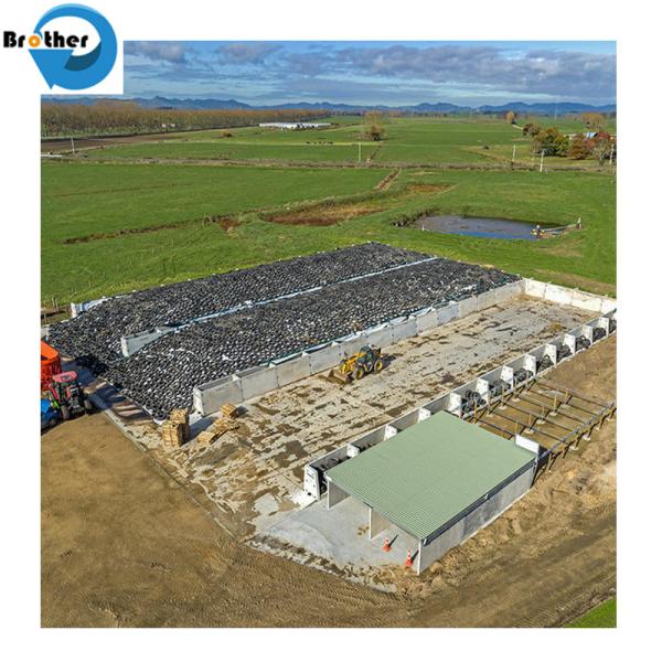 White Color Agriculture 500mm Silage Wrap Film for Grass Baler