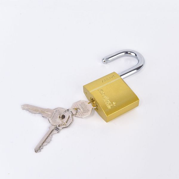 20mm Durable High Quality Brass Cylinder Spray-paint Arc Type Iron Padlock with 3 Keys ISO9001 Certified