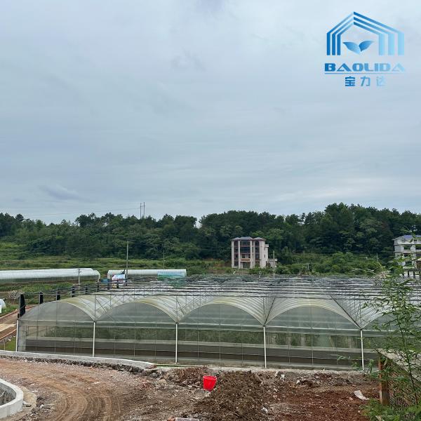 Tubos Galvanizados Inteligentes Tubo de Aço Tomate Filme de Plástico Arco Estufa Agrícola Estufa Multi-span Para Venda