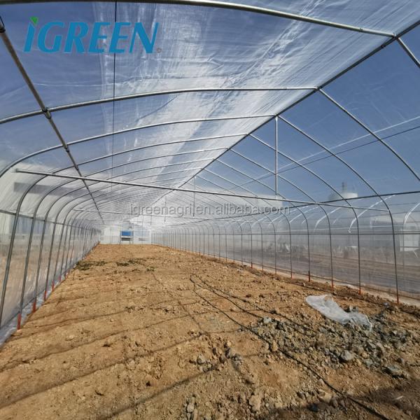 Commercial Plastic Film Greenhouse Hydroponic Hot Dipped Galvanized Steel Structure