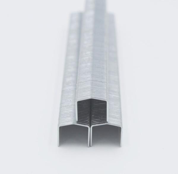 STCR5019-6 20 Gauge 11.50mm Crown 6mm Furniture Staple ANSI Standard for 6mm Crown