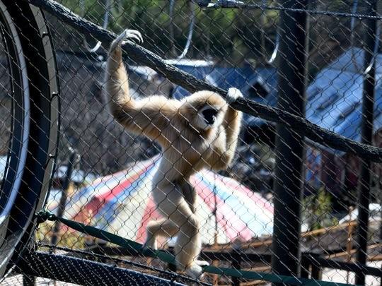 Hand Woven Animal-Gibbon Mesh Fencing Stainless Steel 1.2mm - 3.2mm Rope Diameter